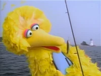WYWH.Fishing2