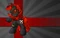 Flag2b