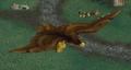 Duskwing Eagle2.jpg