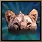 Icon Charm Animal.png