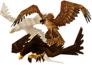 Birds of prey
