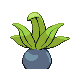 Oddish espalda G4