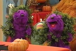 Pipandpop-bushes