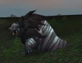Bull Lion Seal.jpg