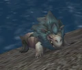 Lion Seal Whelp.jpg