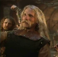 Male Viking 2