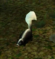 Flora.jpg