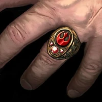 Rebel signet ring