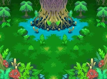 Selva