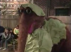 Snuffy-cabbage