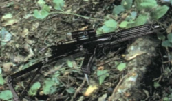 E-11b.jpg