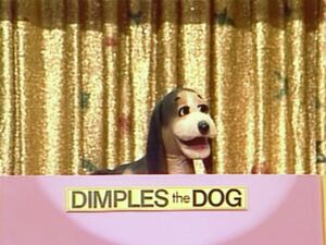 DimplestheDog