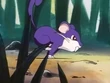 EP001 Rattata