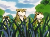 EP001 Sandshrew