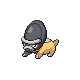 Shieldon Pt