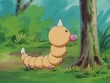 EP004 Weedle