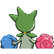 Roselia espalda G4