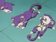 EP008 Rattata de AJ