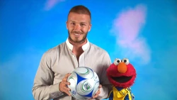 4168.DBeckhamElmo