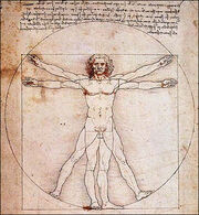 Da-vinci-man