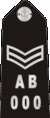Police Sergeant
