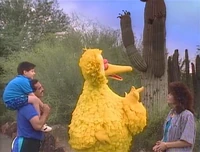 WYWH.Phoenix.jpg
