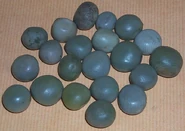 Seeds c bonduc