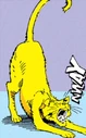PG's cat 05