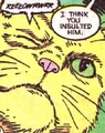 PG's cat 06