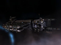 Rorqual4