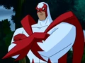 Hawk - DCAU