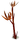 Dark Bamboo.png