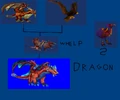 Dragonhawkline.JPG