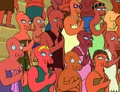 Decapodians