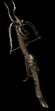 D2-u-Hellrack
