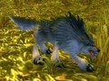 Mangy Wolf.jpg