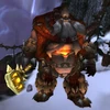 Fjorn