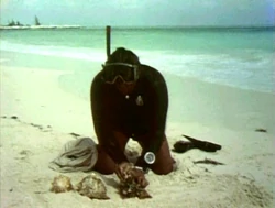 Film.Countingshells