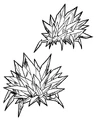 Crystal Barnacle