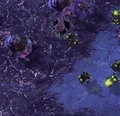 Creep SC2 Game2.jpg