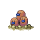 Dugtrio Pt variocolor