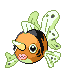 Seaking Pt variocolor