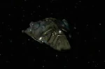 Turei vessel