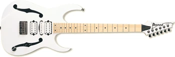 PGM301 WH