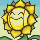 Cara de Sunflora