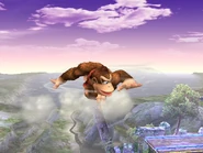 Spinning Kong