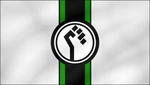 TRF newflag