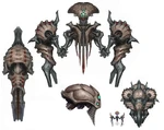 Quadraxis concept1