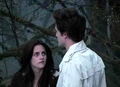 Kristenstewartandrobertpattinson.png