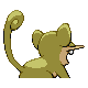 Rattata espalda G4 variocolor